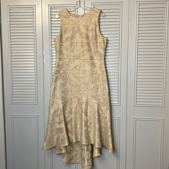 Belle Badgley Mischka Cream Gold Sleeveless Embroidered Lace Style Dress… - Picture 5 of 15